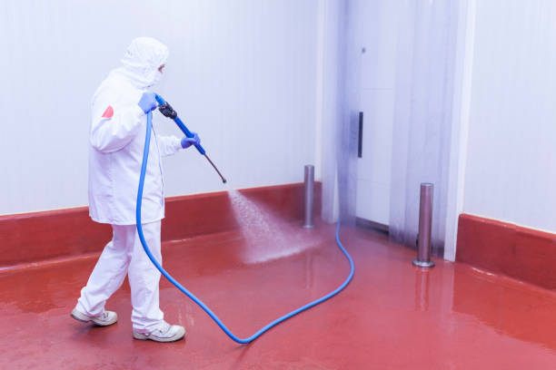 Best Building Exterior Pressure Washing in Shell Kno, MO